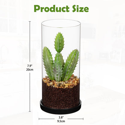 GnFlus Artificial Succulent in Cylindrical Glass Vase Small Fake Cactus Plant with Modern Glass Terrarium Faux Plants Indoor Gift for Plant Lover Decor for Home Office Table Desk Shelf