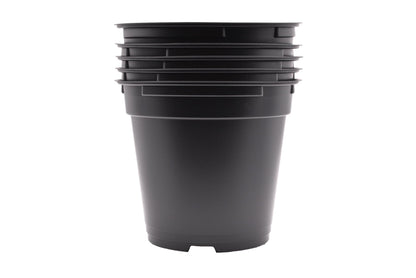 Daisy J&M 100ct Black Round 4.33" Pots with Holes