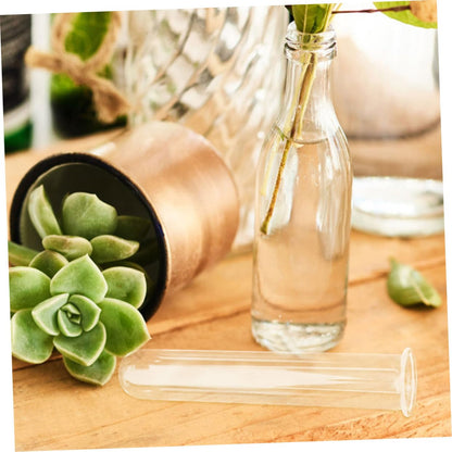 VALICLUD 6pcs Clear Glass Test Tubes for Plants Hydroponics Vase Transparent Flower Tubes Desk Terrarium Water Propagation Decorative Plant Containers