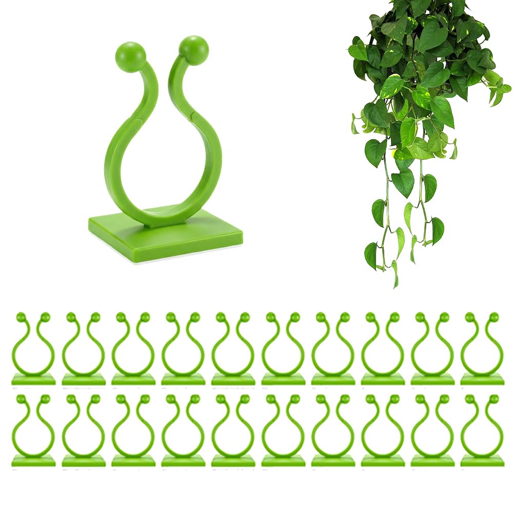 Plant Climbing Wall Fixture Clips, Plant Fixer Invisible Wall Vines Fixing Clips, Self Adhesive Vine Traction, Green Plant Fixer with Self-Adhesive Hook for Indoor Outdoor (20 Pcs)