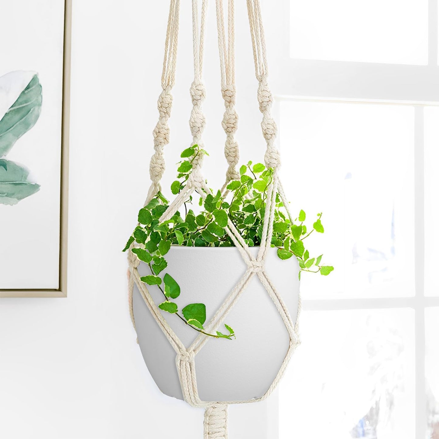 Plant Pots 8 Inch Set of 2, Flower Pots with Multi Mesh Drainage Holes