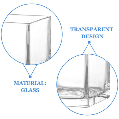 INOOMP Square Glass Hydroponic Vase 10x10cm Thick Cube Flower Vase for Home Desk Decor, Glass Plant Terrarium Bottle for Modern Indoor Gardening
