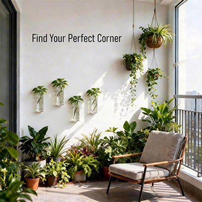 Bunhut Wall Planters for Indoor Plants, 4 Pack Glass Wall Planters for Propagation, Hanging Terrarium Planters with Hooks for Hydroponic Plants, Flowers, Home Office Bathroom Decor