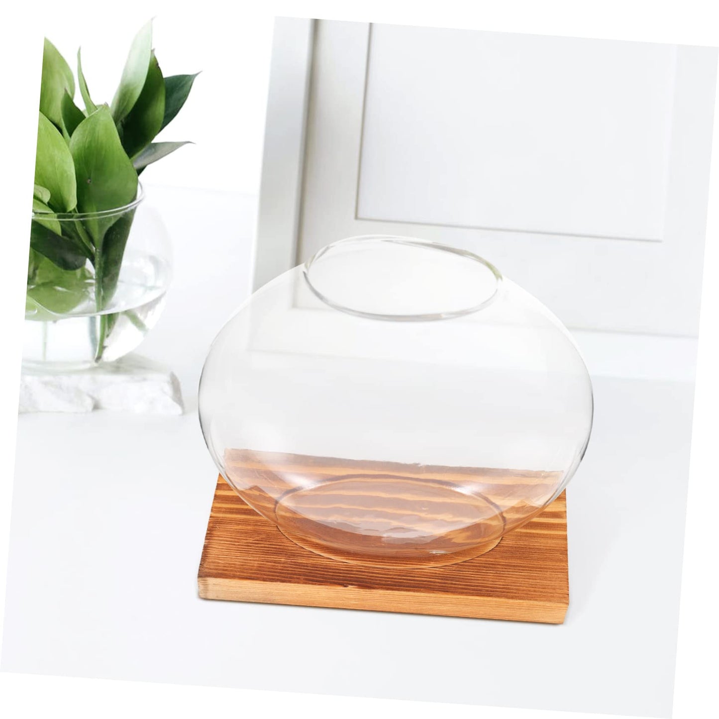 VALICLUD Hydroponic Plant Vase with Retro Base Tabletop Glass Terrarium for Home and Office Decor Chic DIY Decorative Container for Greenery and Floral Arrangements