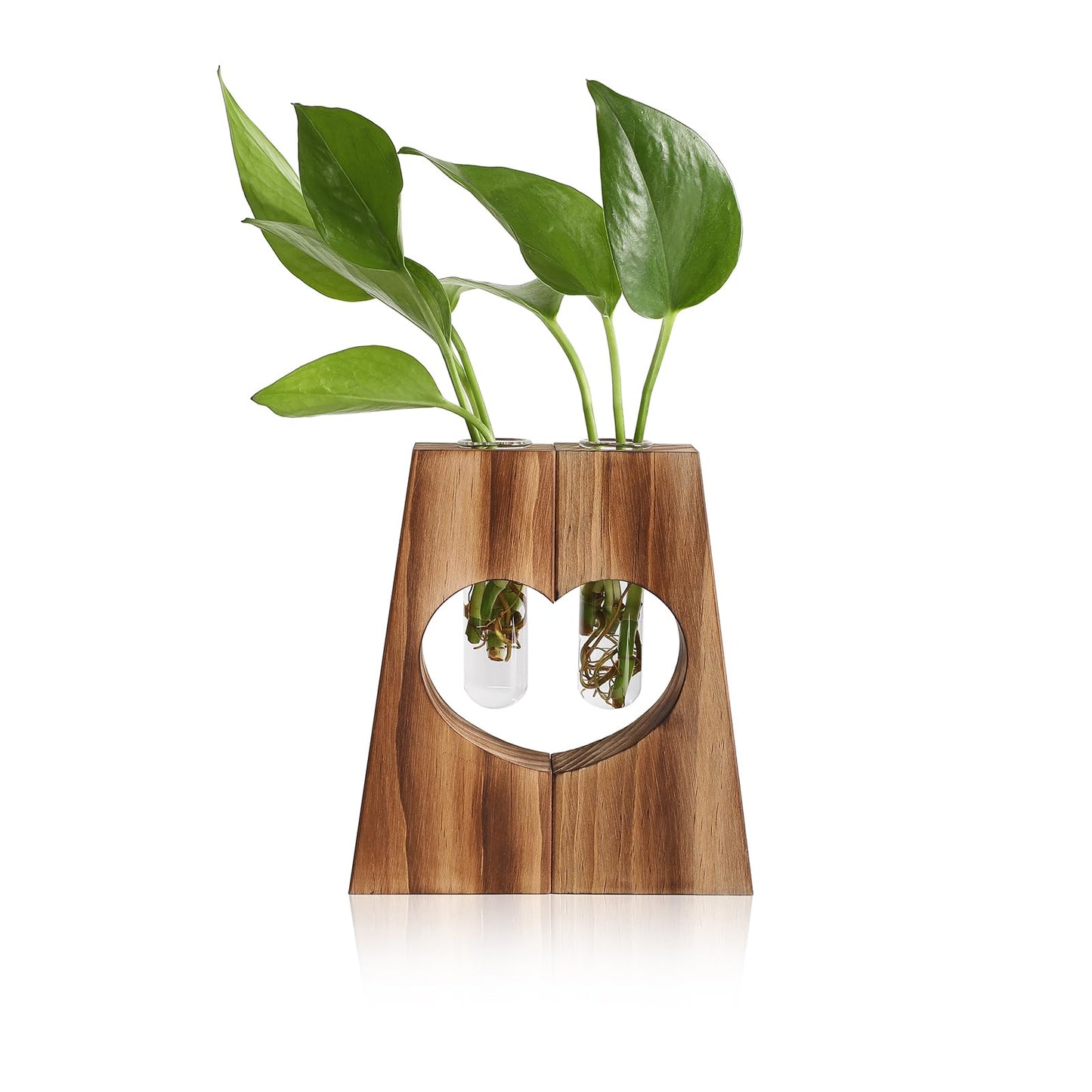 CYZglass Glass Plant Propagation Station for Hydroponics, Heart Shaped Wooden Base with Double Test Tube, Home and Office Desktop Decor Vase