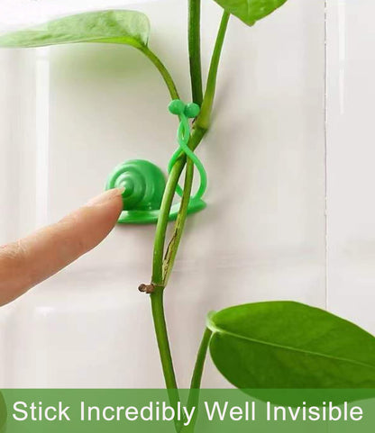 Lasyman 50PCS Plant Wall Clips: Vine Climbing Self-Adhesive Invisible Fixing Hook for Wall & Garden Decoration