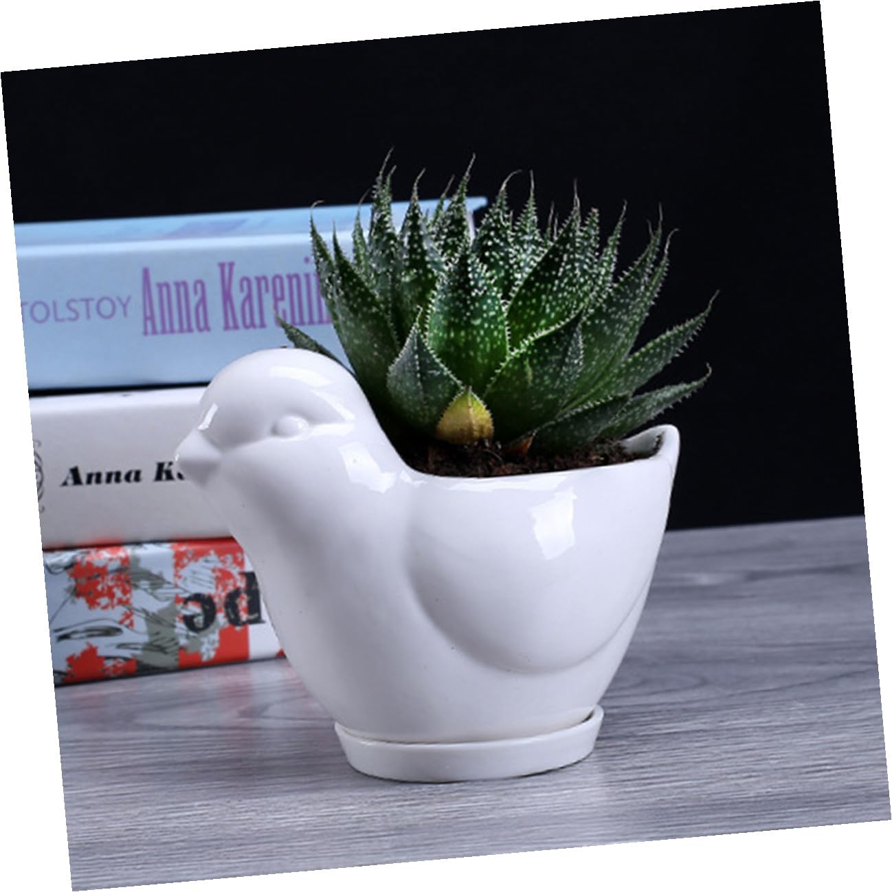 LALAFINA Ceramic Succulent Plant Container Bird Shape Large White Flower Pot with Saucer Indoor Desktop Planter for Home Garden Decor