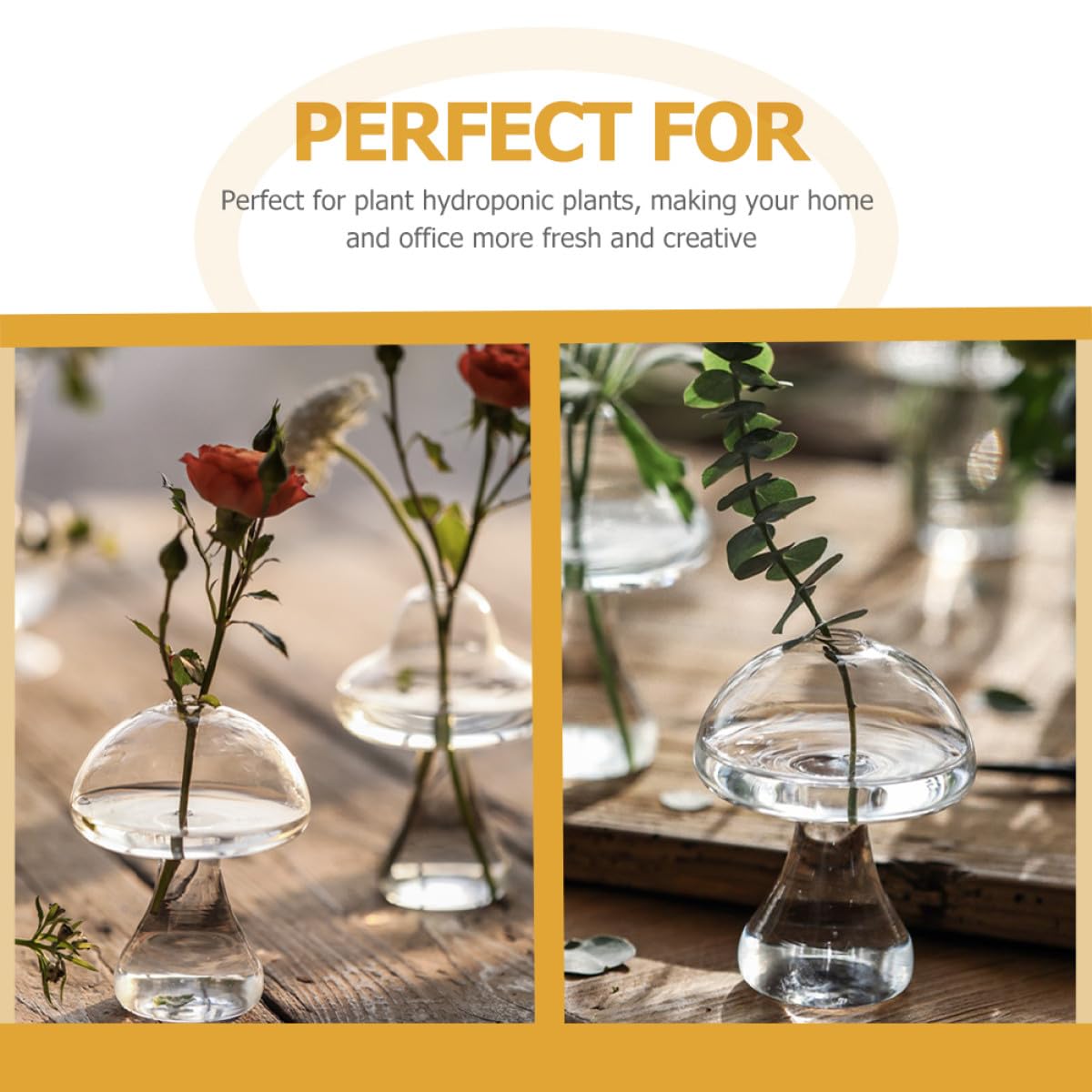 NUSITOU 2pcs Glass Mushroom-Shaped Hydroponic Flower Vases Decorative Desktop Home Office Plant Holders for Terrarium and Floral Arrangement