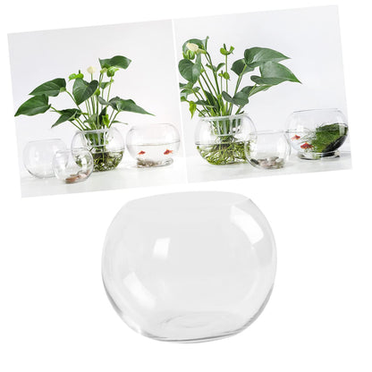 PHENOFICE Transparent Hydroponics Glass Vase Rounded Desktop Flower Holder for Succulents Terrarium and Fish Decorative Plant Pot for Home Office Hotel Ornament