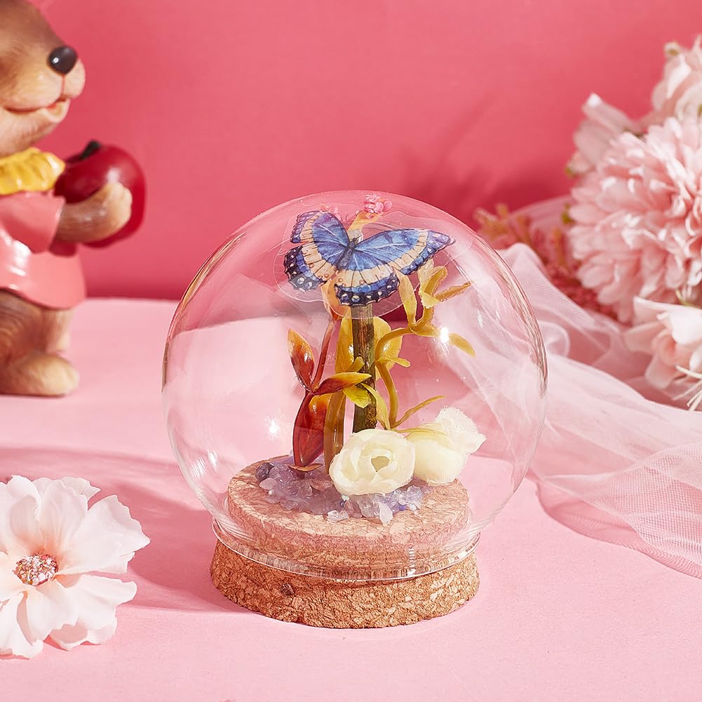 NBEADS 2 Pcs Eternal Flower Glass Dome Cloche, 3.4x3.5 Inch Glass Dome Cover with Cork Base Arch Bell Jar Cloche for Centerpieces Plants Rocks Specimens Decorations Crafts