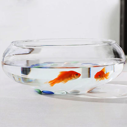 Lotus Bowl Planter Glass Lotus Bowls for Planting in Water Indoors Bonsai Pots No Drainage Hole Hydroponic Aquatic Plants Terrarium Fish Bowls Large
