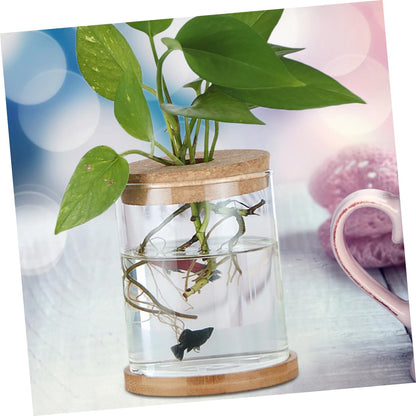 Cabilock 6Pcs Cork Lids for Hydroponic Vases Sustainable Transparent Glass Stoppers for Terrarium and Plant Propagation for Indoor Home Decor Elegant Micro Landscape Display