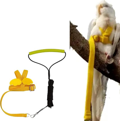 Bird Harness Leash Adjustable Outdoor Training Flying Harness Traction Rope with Cute Wing for Parrots Pigeons Budgerigar Lovebird Cockatiel Mynah (L,Yellow)