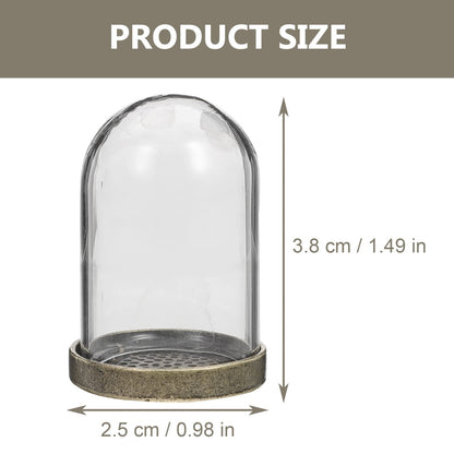 ARTIBETTER Glass Terrarium Dome and Brass Tray Set for DIY Microlandscape Plant Display Miniature Ecological Container Covers for Home Decor and Craft Supplies