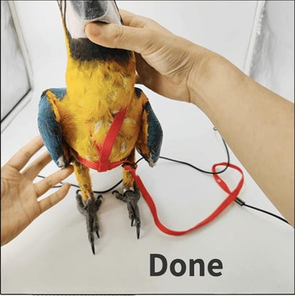 Adjustable Bird Harness with 78.7 Inch Leash, Outdoor Flying Training Rope Kit for Bird Parrots, Parrot Flying Rope Straps Outdoor Training Traction Rope for Small Medium Large Size Birds (XS)