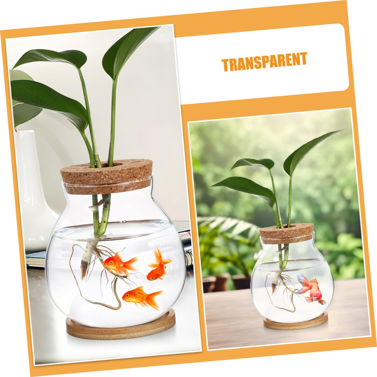 Toyvian Glass Hydroponic Vase with Wooden Base Elegant Propagation Container for Indoor Plants Terrarium Flower Pot for Decor Easy to Clean and Maintain