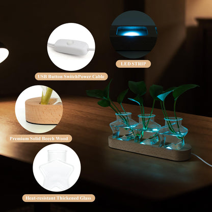 XXXFLOWER Plant Propagation Station with LED Light, Wooden Base Glass Terrarium & Lighted Vase, Hydroponic Planter Terrarium for Home Desk Decor, Ideal Gifts for Gardeners & Plant Lovers(3 Star Vases)