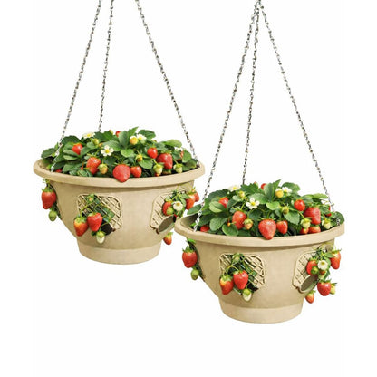 smart spring Ultimate Hanging Basket Strawberry & Flower Planter – 6 Side Planting Spaces, Drainage Hole, 1” Water Reservoir, Zinc-Plated Chain Included, Made in the USA (Desert Sand)