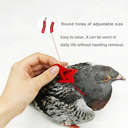 Adjustable Bird Harness & Leash Set for Small Birds,FitsBudgie,Parakeets, Conures, Cockatiels,Green Cheek,Quaker Parrots(Red, S+) Z6350-5