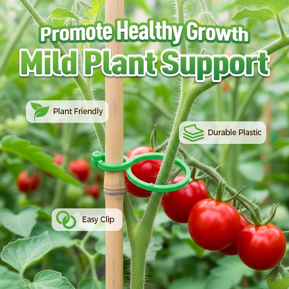 muxou Plant Stem Support,Plastic Plant Clips for Climbing Plants,Tomato Vine Clips,Plant Fixing Clips,Garden Clips (Green 100pcs)