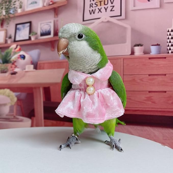 Bird Costume Bird Diaper Flight Suit Parrot Velvet Fleece Skirt Clothes Cosplay Photo Prop for Conure Lovebird Parakeet Cockatiel Macaw Small Animals Apparel (Pink,X-Large)