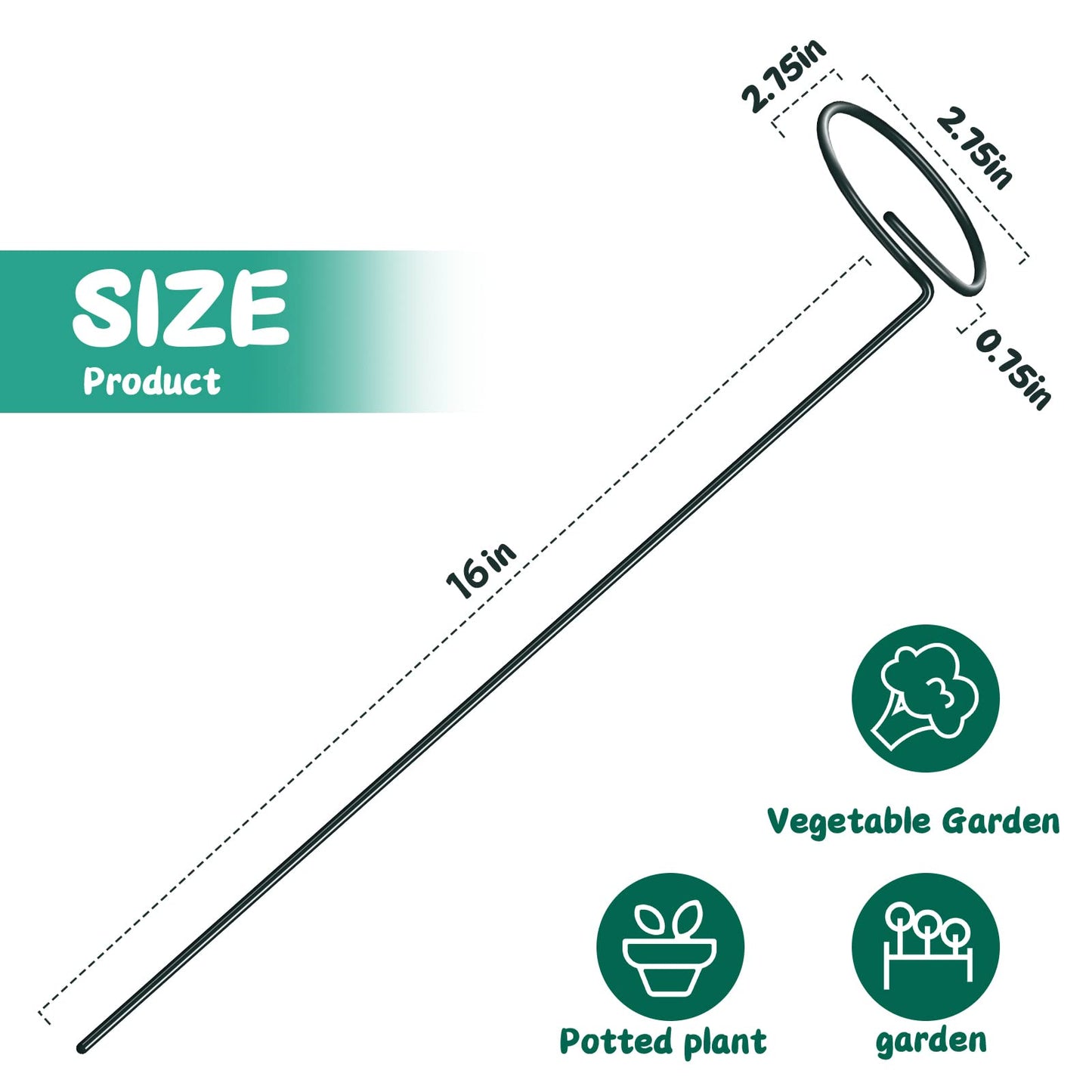 XYCING Green Metal Plant Support Stakes with Rings (Pack of 8) and 10 Plant Clips - Garden Single Stem Support Rod Set for Amaryllis, Rose, Tomato Seedling, Sapling