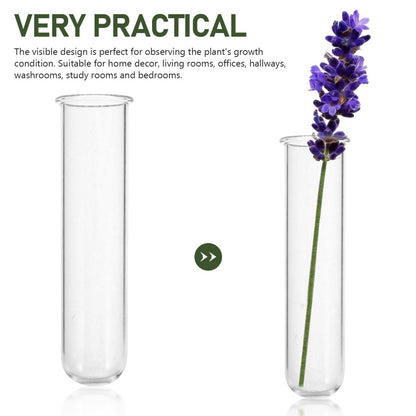 IWOWHERO 5Pcs Plant Propagation Station Glass Plant Test Tube Planter Pot Holder for Hydroponics for Home Office Planter Hanger Flower Vase Wall Decor Hydroponic Cuttings Clear