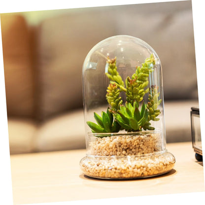 FONDOTIN Glass Terrarium Display Dome Moss Bottle for Plants Design with Opening for DIY Micro Landscapes and Home Decor