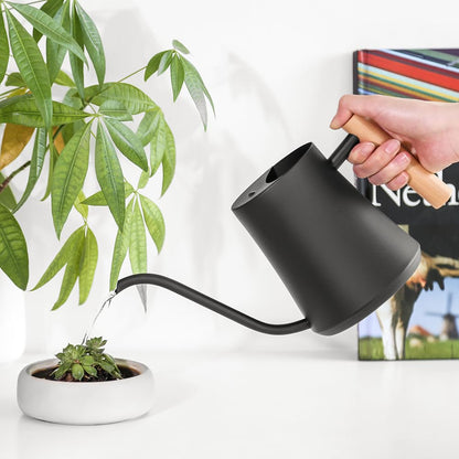 Epalace Indoor Watering Can Stainless Steel Watering Can for Indoor Plants with Long Spout, 35oz/1L