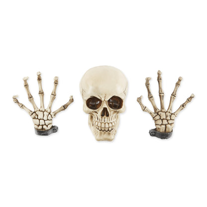 Dragon Crest Skeleton Wall Decor Set 3.87x3x5.75