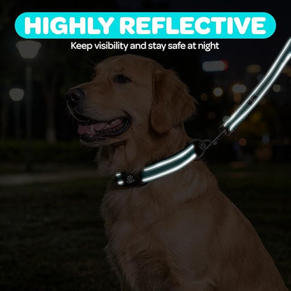 FURRYFECTION Reflective Dog Collar and Leash Set with Quick Release Buckle, Padded with Neoprene Adjustable Nylon Dog Collar for Small Medium and Large Dogs (Medium Collar+5FT Leash, Teal)