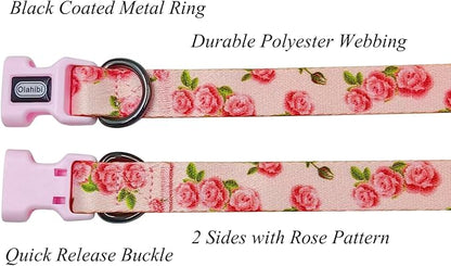 Dog Collar Leash Set, Floral Pattern, Polyester Material, Adjustable Collar and 5ft Matching Leash, for Medium Dogs.(M, Pink Rose)