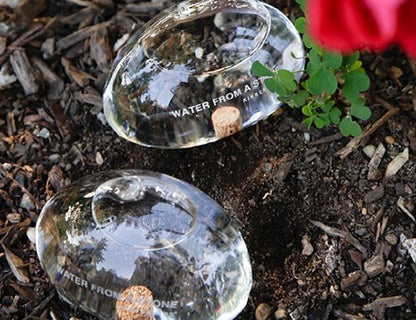 Kikkerland Water from a Stone Hand Blown Glass Automatic Self-Watering Plant Globes, Set of 2