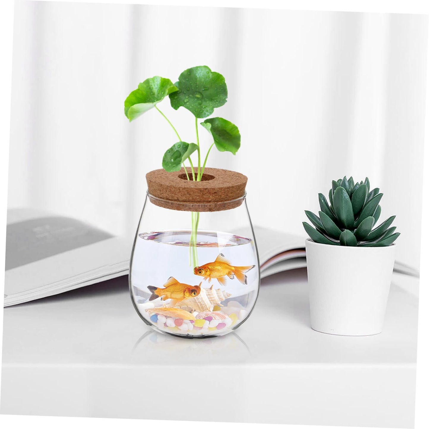 ifundom Creative Hydroponic Glass Vase for Plants Transparent Desktop Propagation Planter Elegant Terrarium for Indoor Greenery Low Maintenance Water Propagation Station for Spaces
