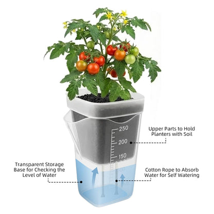 Addcean Self Watering Pots for Indoor Plants, 12pcs 2.5" Clear Plastic Planters Flower Pots for Cuttings, Seedlings, African Violets, Herbs, Mini Flowerpot with Measuring Cup & 12 Plant Labels