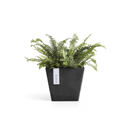 Ecopots Rotterdam Durable Modern Square Indoor/Outdoor Recycled-Based Composite Flower Planter, Dark Grey, 8"