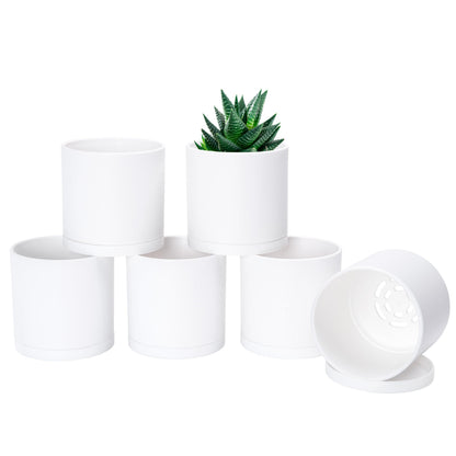 D'vine Dev 6 Pack 4 Inch Modern Plastic Plant Pots, Small Garden Planters for Plant with Drainage Holes and Saucers, White Color, 74-Z-E-3