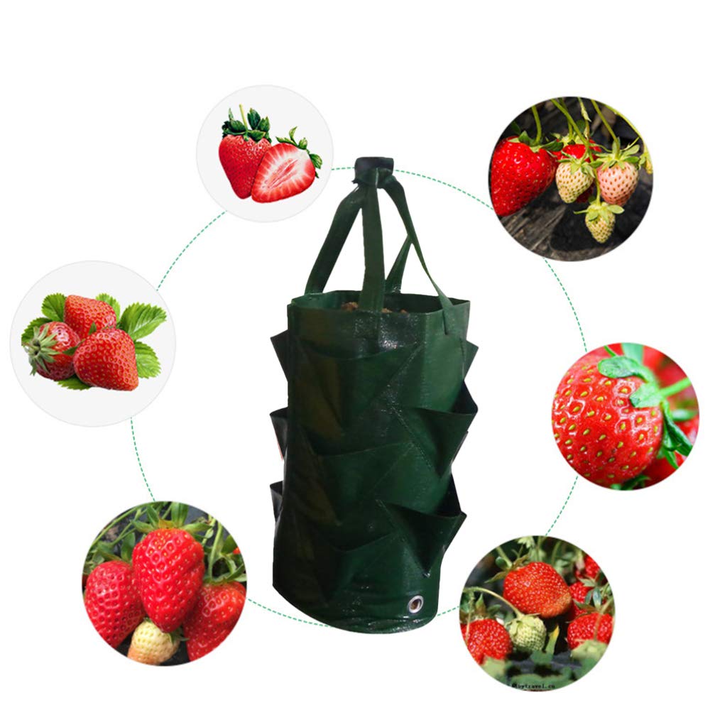 Hemoton 3 Gallons Planting Grow Bag, Hanging Strawberry Bags, Plastic Strawberry Planter Bags, Perfect for Growing Strawberry,Tomato,Pepper,Cucumber,Herbs,Lettuce,Greens,Flowers and More! (Green)