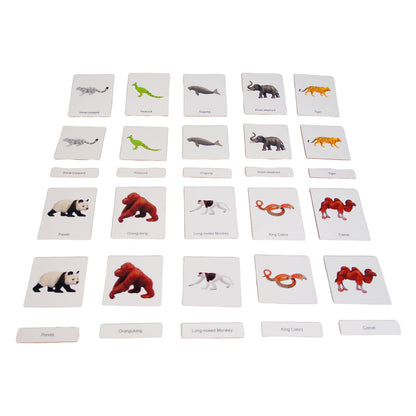 ancona Asian Animals, Spanish/English Bilingual, Montessori Preschool Memory Matching Game Box Set with Animal Figurines & 3-Part Cards, Early Education Toy