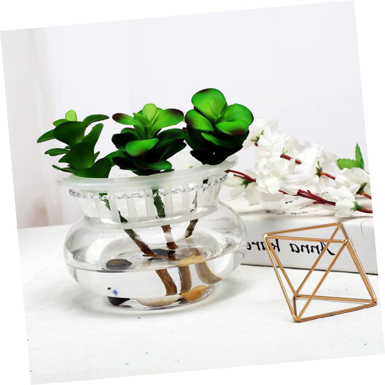 SEWOART 2pcs Glass Fish Bowl for Hydroponic Plants Simple Design Bowl Multi-Functional Terrarium for Fish Shrimp and Home Floral Edge