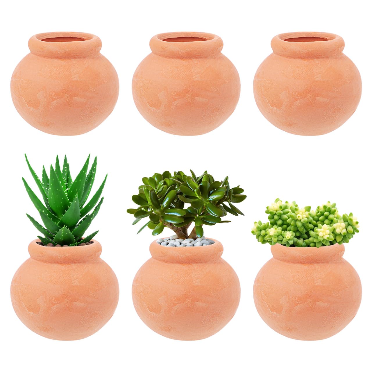 Toddmomy Miniature Terracotta Succulent Pots 12Pcs Mini Clay Flower Planting Pots for Indoor Plants, Cactus, Fairy Garden, DIY Crafts, Home Decor Accessories