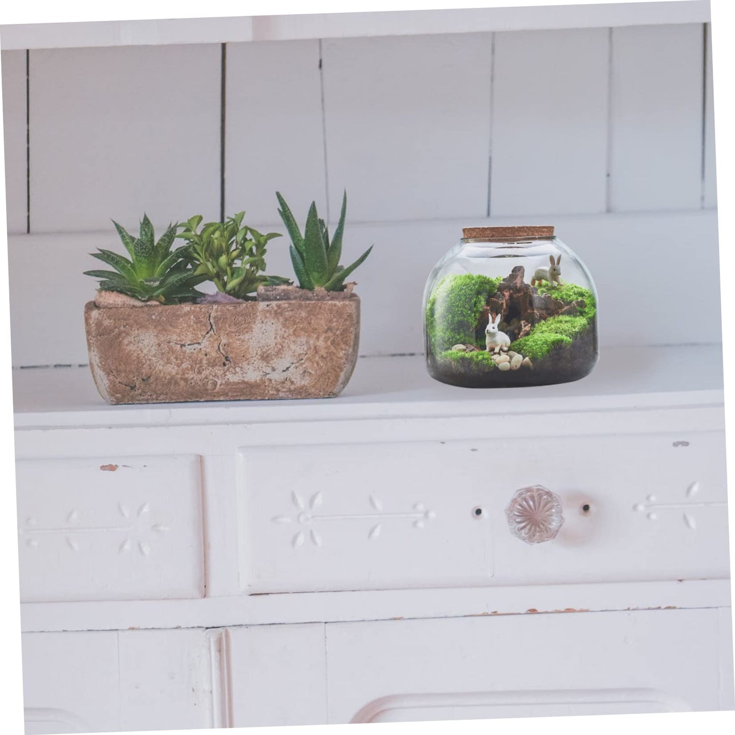 HYTROVE Micro Landscape Bottle Terrarium for Plants Creative DIY Desk Decor Simple Glass Ecological Bottle Lid for Indoor Gardening and Home Decoration