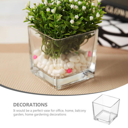 SECFOU 4.5 Inch Cube Glass Vase for Succulent Plants and Greenery, Small Terrarium Planter Pot for Hydroponic Use, Decorative Tabletop Flower Container for Home and Office