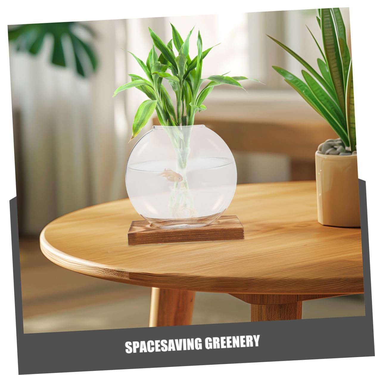 Ipetboom 2pcs Small Glass Propagation Vases with Wooden Base, Hydroponic Plant Terrariums for Home Office Desk, Glass Planter Suitable for Indoor Plant Cultivation