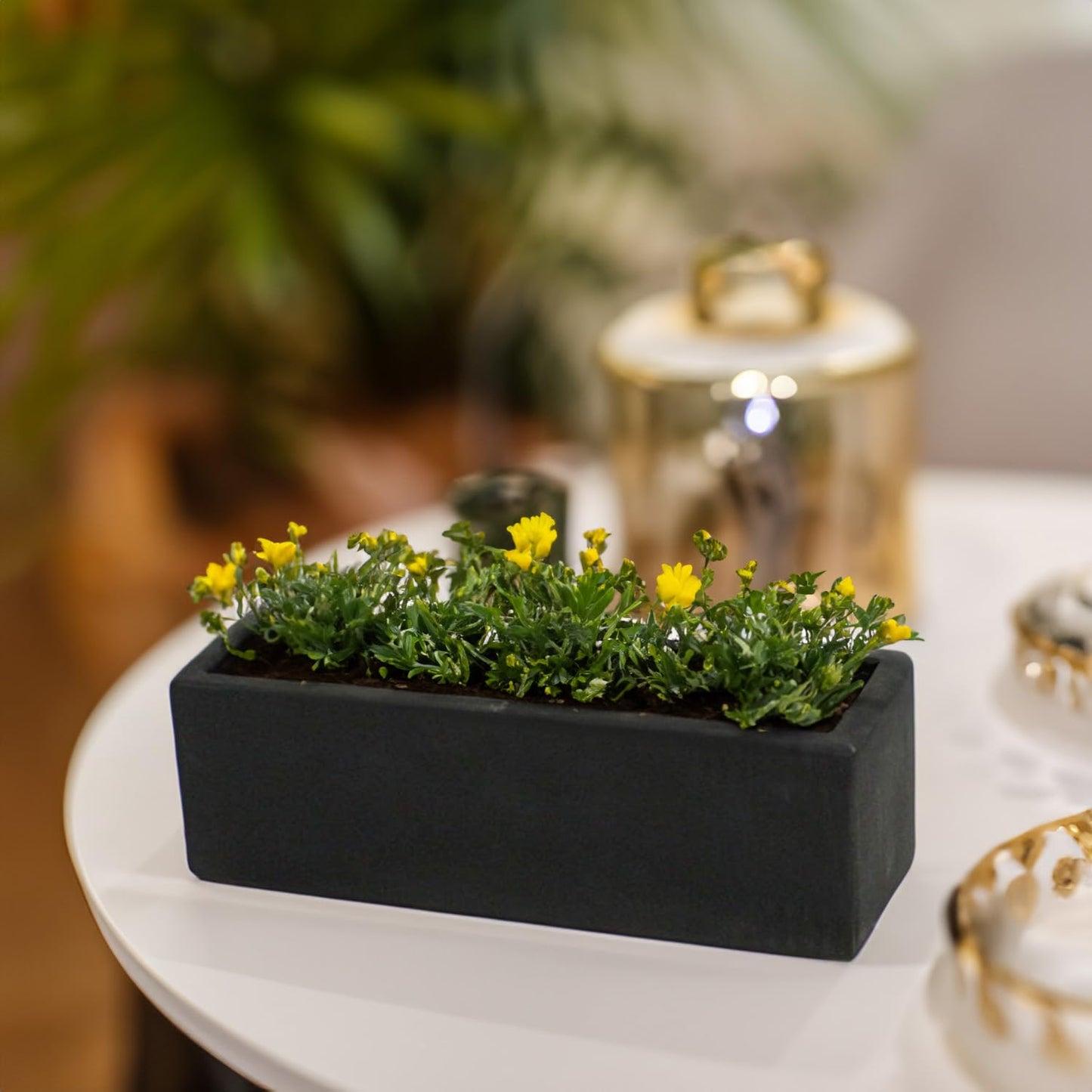WGVI Long Rectangle Ceramic Planter Vase in Black 12" x 4" x 4"H, Block Rectangular Terrarium Box Pot, Flower Arrangement, Table top Centerpiece, Home Decor Organization Storage Container, 1 Pc.