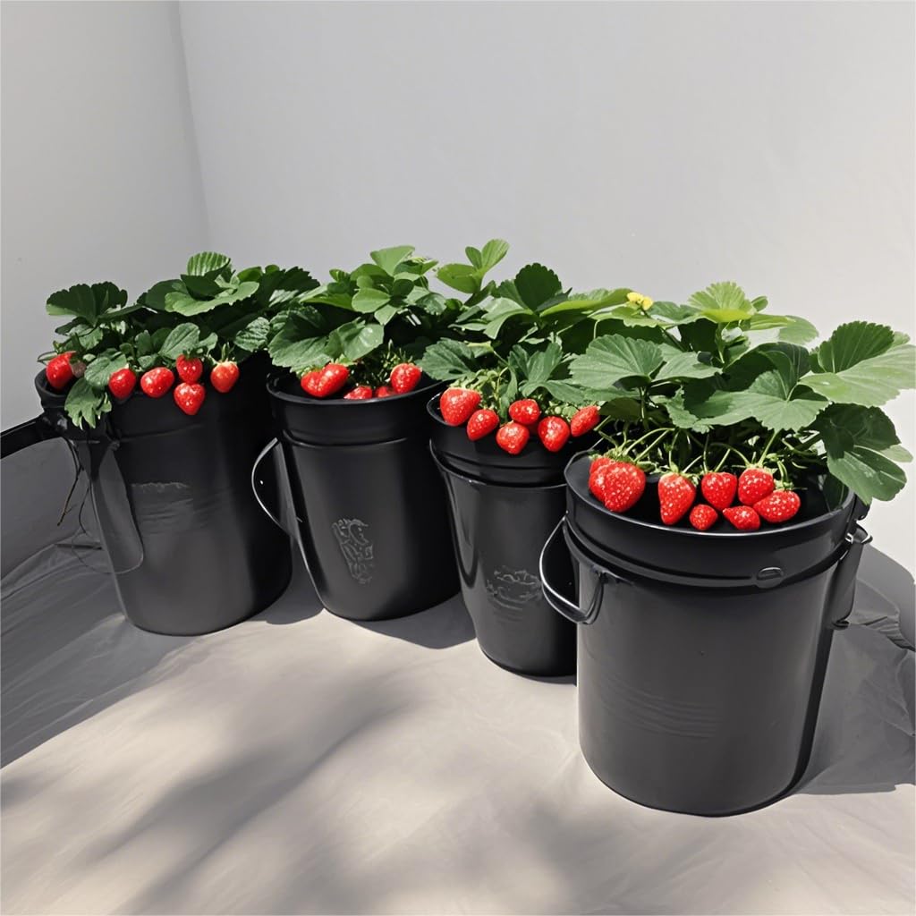 Lykvrii 3 Pack Net Pots 6 Inch for 5 Gallon, 2 in 1 Wide Lip Hydroponic Bucket Lids, DWC Hydroponic Baskets net Pot lid for 5 and 3.5 Gallon