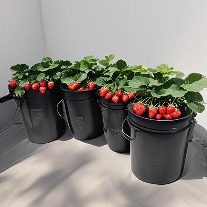 Lykvrii 3 Pack Net Pots 6 Inch for 5 Gallon, 2 in 1 Wide Lip Hydroponic Bucket Lids, DWC Hydroponic Baskets net Pot lid for 5 and 3.5 Gallon