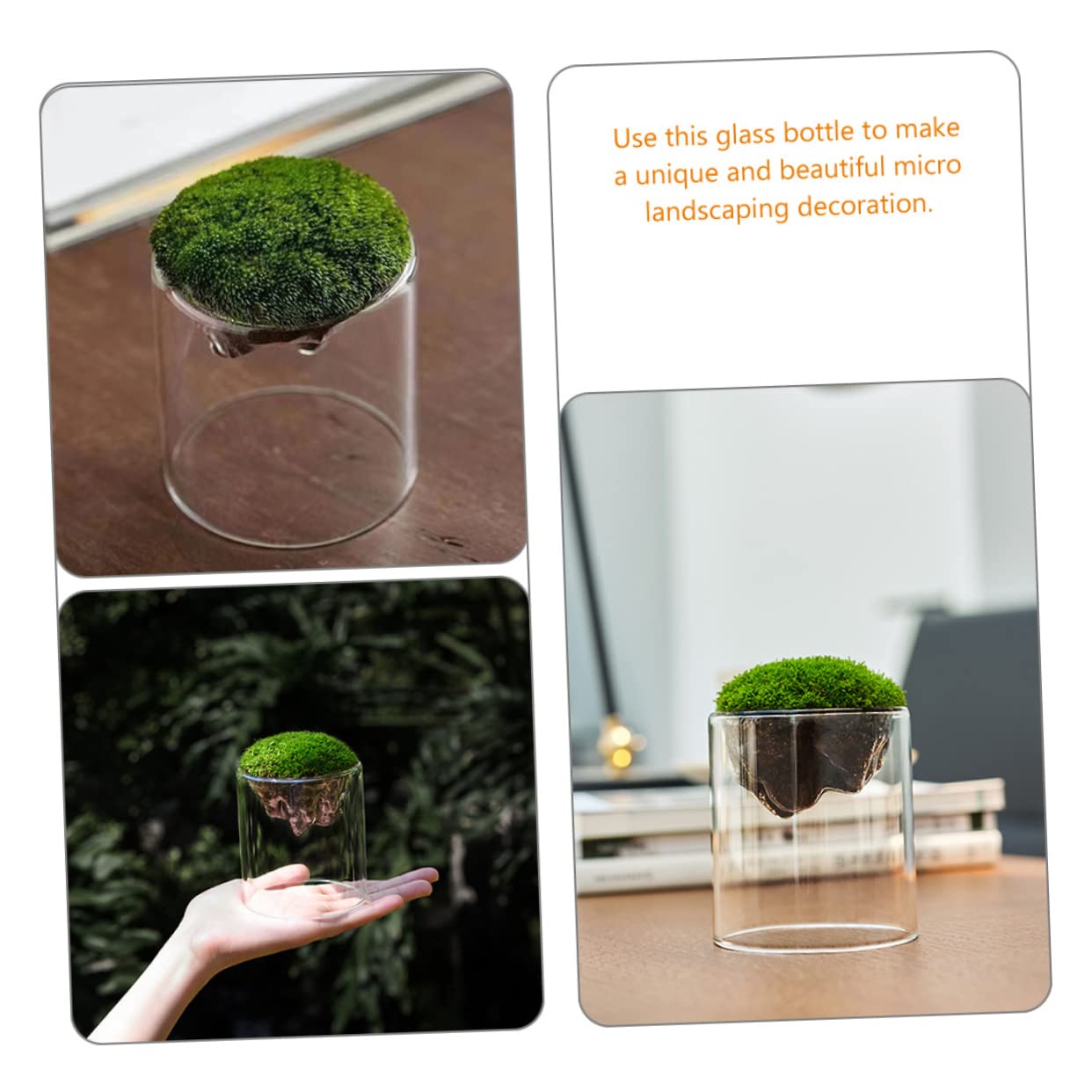 BESPORTBLE DIY Micro Landscape Glass Bottles 2 Pack Moss Plant Terrariums Elegant Decor for Home