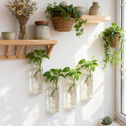 Bunhut Wall Planters for Indoor Plants, 4 Pack Glass Wall Planters for Propagation, Hanging Terrarium Planters with Hooks for Hydroponic Plants, Flowers, Home Office Bathroom Decor