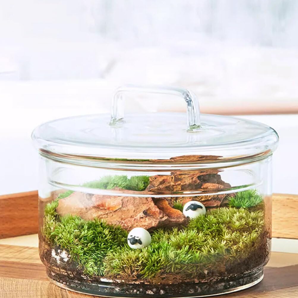 Baluue Creative Jar with Lid Glass Plant Terrarium with Lid Round Fish Bowl Air Planter Bulb Succulent Pot Vase Micro Landscape Bottle for Tabletop Decoration Bud Vases